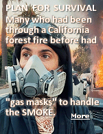 Gas masks are a vital piece of equipment in emergency preparedness, tactical training, and survival. They provide a barrier of protection against harmful chemicals, toxic substances, and poisonous gasses. In times of crisis, having a good gas mask can mean the difference between life and death.